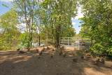 6615 Lake Shore Drive - Photo 49