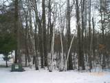 Lot 12 Fallen Leaf Circle - Photo 9