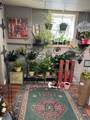 814 Main Street - Photo 9