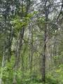 Lot 4 Patriot Ave - Photo 5