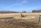 41936 County 75 - Photo 24