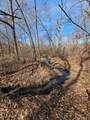 TBD Cr-13 Road - Photo 6