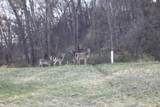 xxxxB Kings Park Road - Photo 6