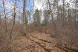 TBD Bass Lake Drive - Photo 17