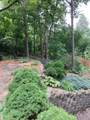 1604 Northrop Lane - Photo 43