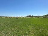 37791 390th Avenue - Photo 48