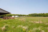 TBD 225th Avenue - Photo 13
