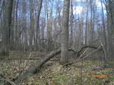 Lot 211 Catskill Circle - Photo 3