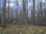 Lot 211 Catskill Circle - Photo 4