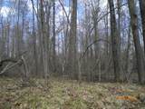 Lot 211 Catskill Circle - Photo 5