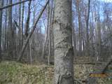 Lot 211 Catskill Circle - Photo 6