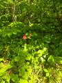 TBD Town Road 166 - Photo 10