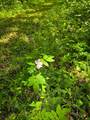 TBD Town Road 166 - Photo 7