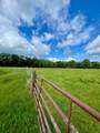 10244 State Highway 87 - Photo 49