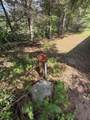 40257 Elbow Lake Store Road - Photo 30