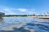 10176 Sherbrooke Beach Lane - Photo 43