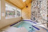 3569 Blue Jay Way - Photo 23