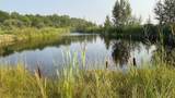 TBD5 Sunflower Road - Photo 10