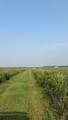 TBD5 Sunflower Road - Photo 5