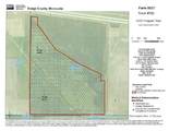 TBD 630th Street - Photo 15