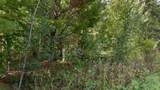 TBD Lots 13 & 14 B2 Pine Tree Lane - Photo 9
