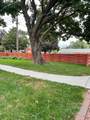 2358 Benjamin Street - Photo 18