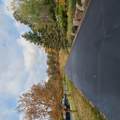 6436 County Road 11 - Photo 69