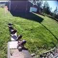16466 220th Street - Photo 55