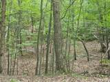 Tract A Richfield Road - Photo 4