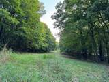(Lot 2) TBD Rock Lake Road - Photo 20