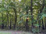 (Lot 2) TBD Rock Lake Road - Photo 21