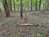 (Lot 2) TBD Rock Lake Road - Photo 23