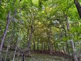 (Lot 2) TBD Rock Lake Road - Photo 24