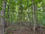 (Lot 2) TBD Rock Lake Road - Photo 28