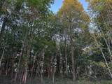(Lot 2) TBD Rock Lake Road - Photo 9