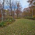 47802 Xylophone Road - Photo 40