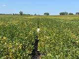TBD County 8 - Photo 5