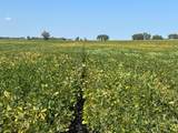 TBD County 8 - Photo 6