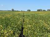 TBD County 8 - Photo 7