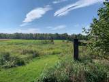 14331 395th Lane - Photo 9