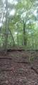 xxx Lot 3 County Line Avenue - Photo 16