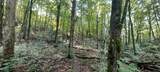 xxx Lot 3 County Line Avenue - Photo 18