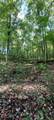 xxx Lot 3 County Line Avenue - Photo 21