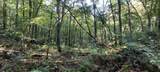xxx Lot 3 County Line Avenue - Photo 25
