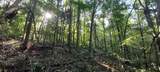 xxx Lot 3 County Line Avenue - Photo 26