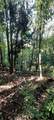 xxx Lot 3 County Line Avenue - Photo 33