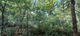 xxx Lot 3 County Line Avenue - Photo 43