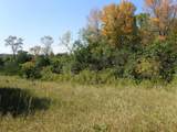 TBD8.5 County Road 106 - Photo 10