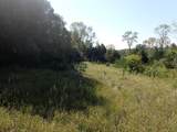 TBD8.5 County Road 106 - Photo 11