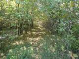 TBD8.5 County Road 106 - Photo 22